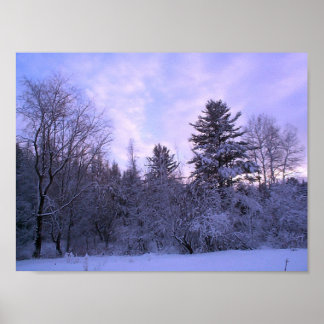 Winterschuh (4) poster