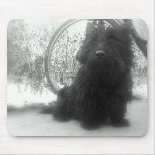 WinterScottish Terrier Mousepad