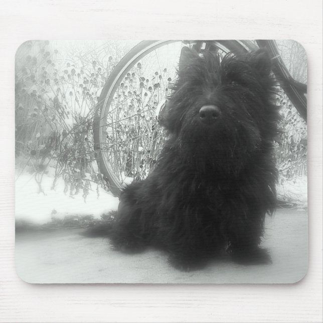WinterScottish Terrier Mousepad (Vorne)
