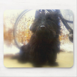 WinterScottish Terrier Mousepad