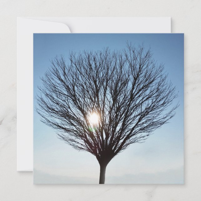 Wintersonne (Vorderseite)