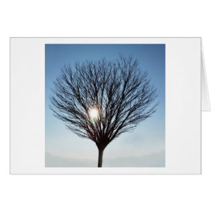 Wintersonne