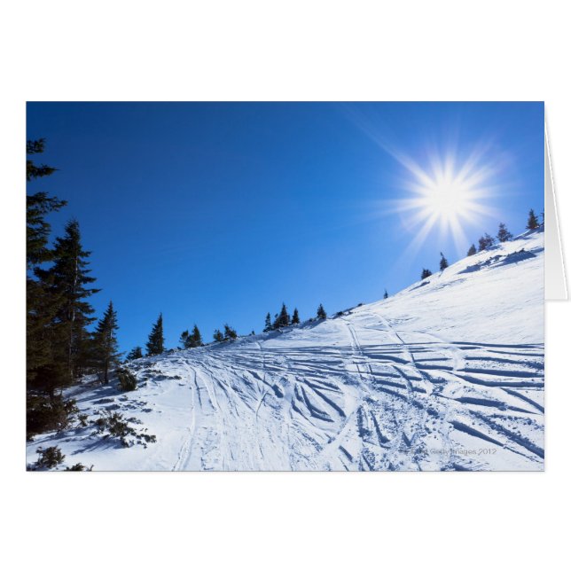 Wintersonne 4 (Vorderseite (Horizontal))