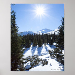 Wintersonne 5 poster