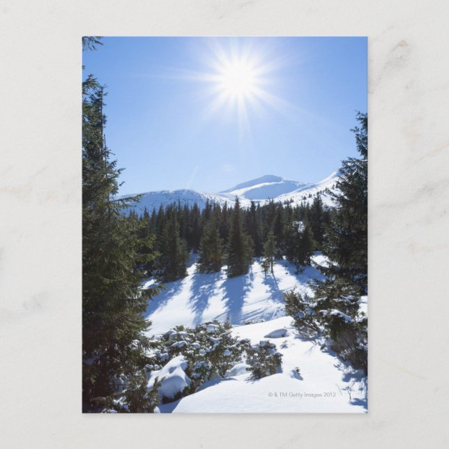 Wintersonne 5 postkarte (Vorderseite)