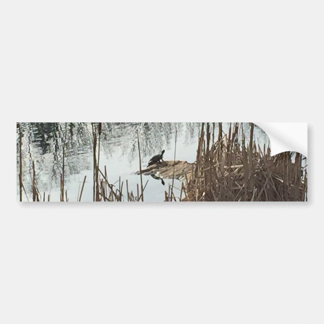 Wintersonne Autoaufkleber (Vorne)