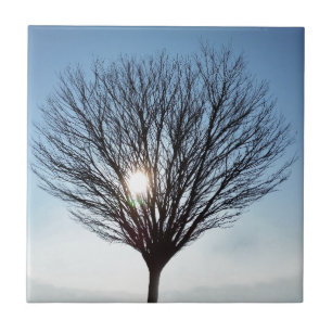 Wintersonne Fliese