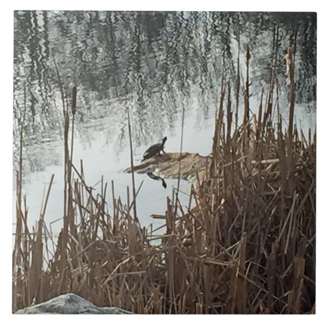 Wintersonne Fliese (Vorderseite)