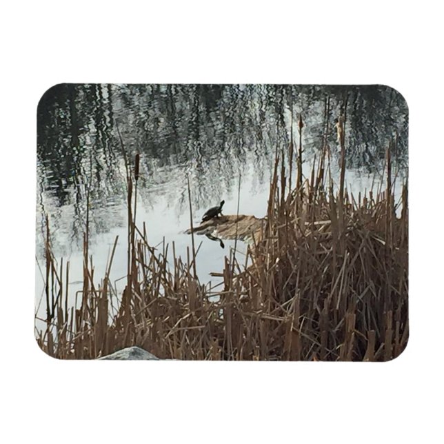 Wintersonne Magnet (Horizontal)