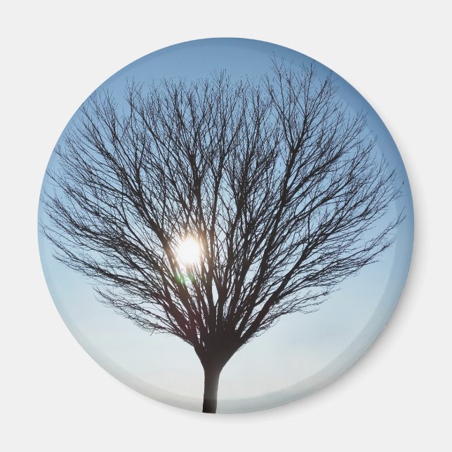Wintersonne Magnet (Vorne)