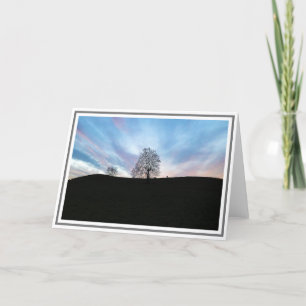 Wintersonne mit bläulichem Himmel, Bäume und Pferd Karte