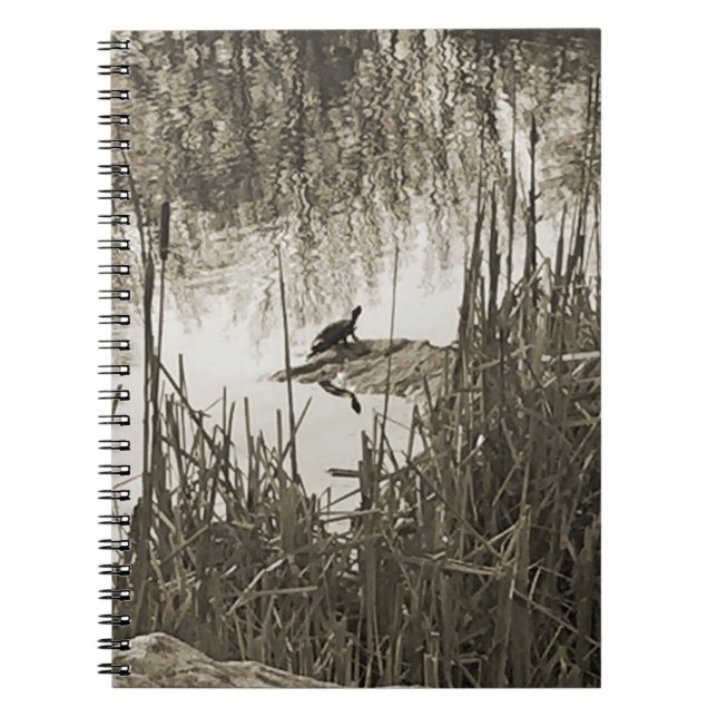 Wintersonne Notizblock (Vorderseite)