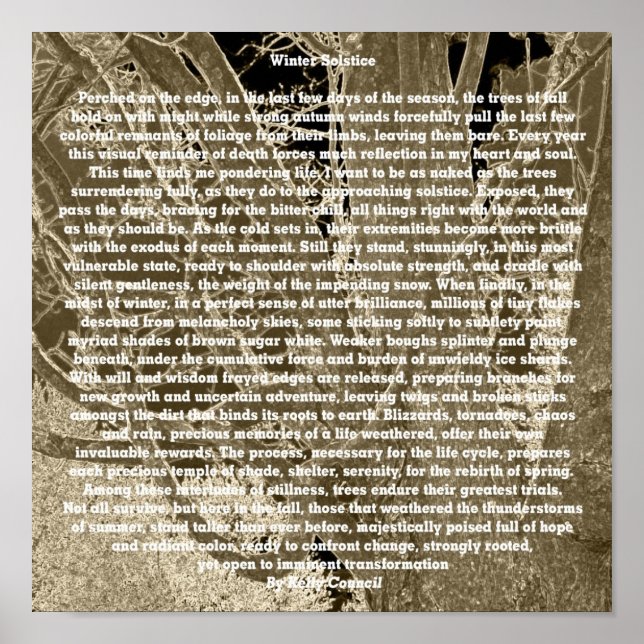 Wintersonne Poster (Vorne)