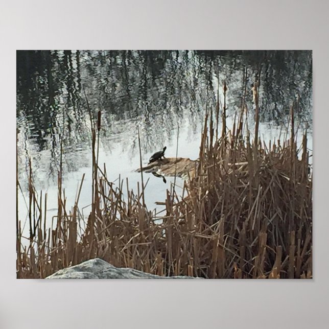 Wintersonne Poster (Vorne)