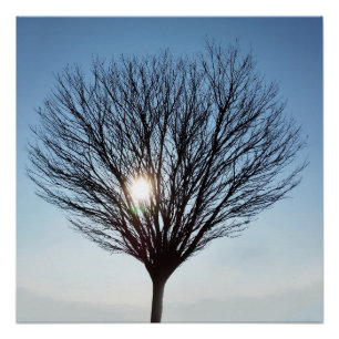 Wintersonne Poster