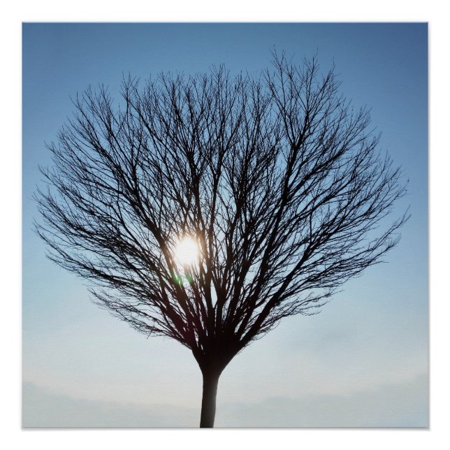 Wintersonne Poster (Vorderseite)