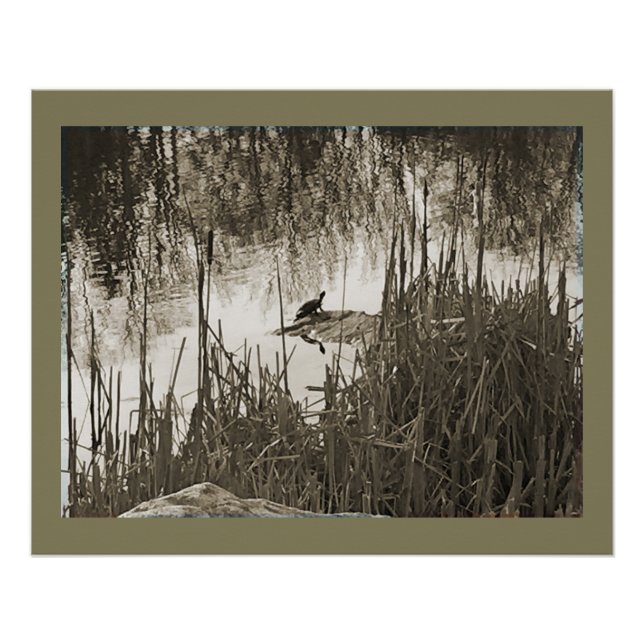 Wintersonne Poster (Vorderseite)