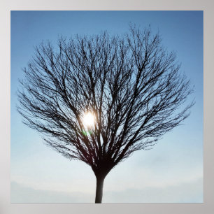 Wintersonne Poster
