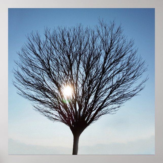 Wintersonne Poster (Vorne)