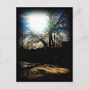 Wintersonne Postkarte