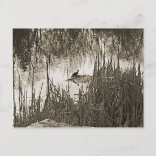 Wintersonne Postkarte