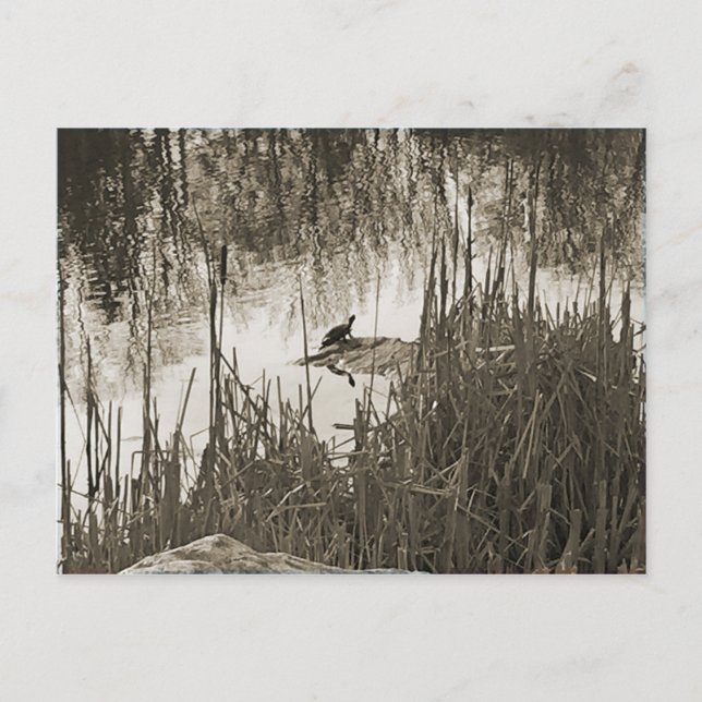 Wintersonne Postkarte (Vorderseite)