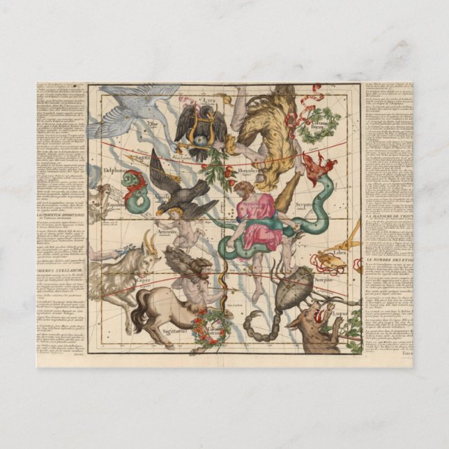 Wintersonne Postkarte (Vorderseite)