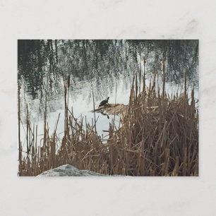 Wintersonne Postkarte