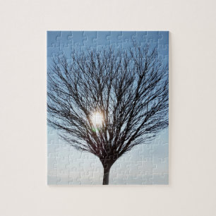 Wintersonne Puzzle