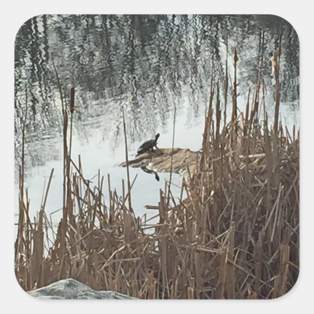Wintersonne Quadratischer Aufkleber (Vorderseite)