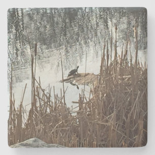 Wintersonne Steinuntersetzer