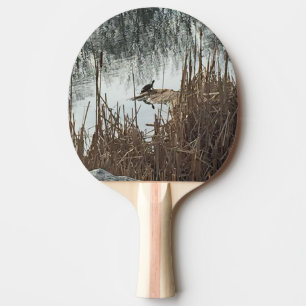 Wintersonne Tischtennis Schläger