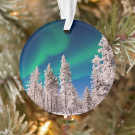 Wintersonnenlicht Ornament