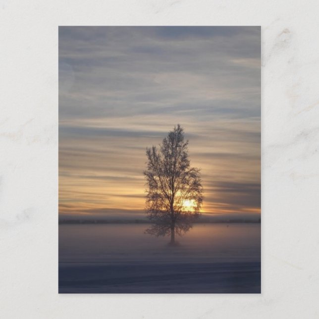 Wintersonnenuntergang bei Ft. Wainwright Postkarte (Vorderseite)