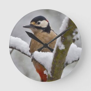Winterspecht Runde Wanduhr