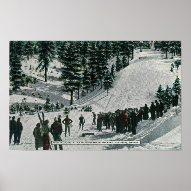 Wintersportort im Charleston Mountain Poster (Vorne)