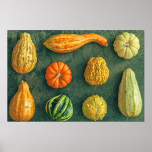 WinterSquash Poster