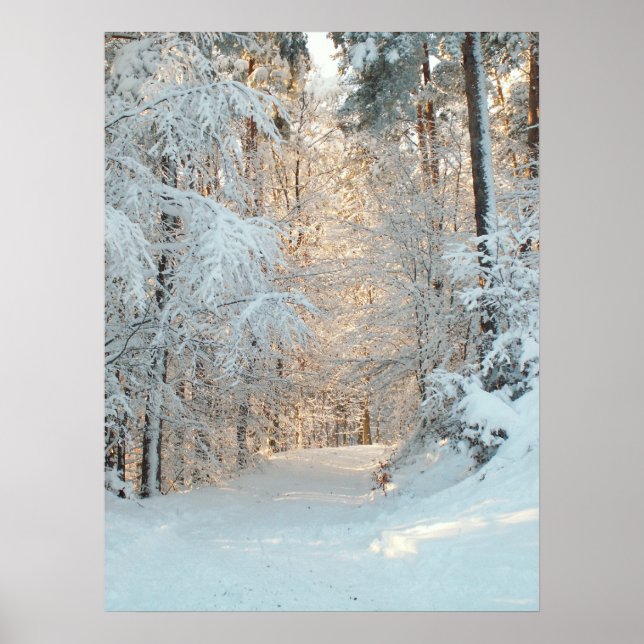 Winterstraße Poster (Vorne)