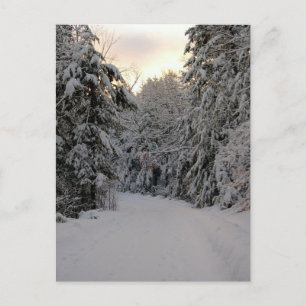 Winterstraße Postkarte