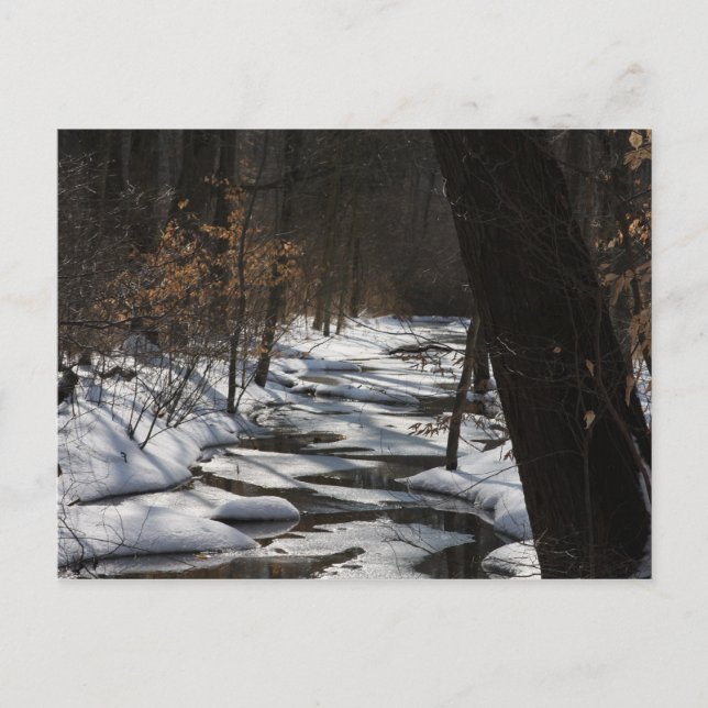 Winterstrom-Postkarte Postkarte (Vorderseite)