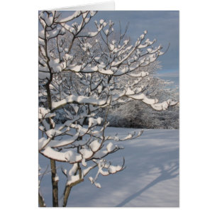 Wintersturm