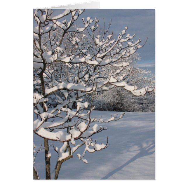 Wintersturm (Vorne)