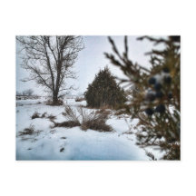 Wintersturm in North Dakota