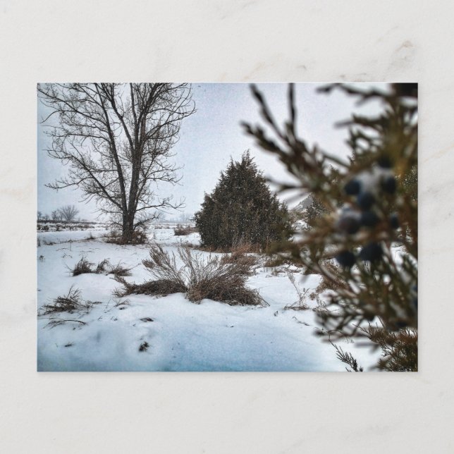 Wintersturm in North Dakota Postkarte (Vorderseite)