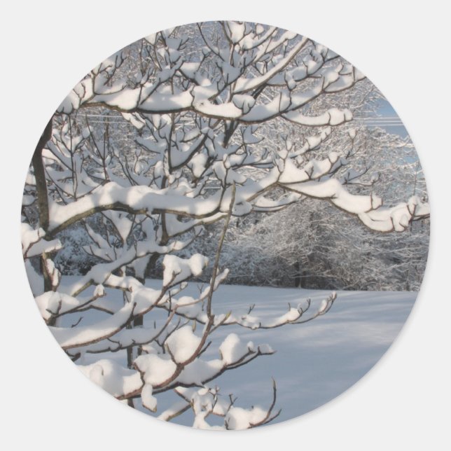 Wintersturm Runder Aufkleber (Vorderseite)