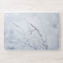 Winterszene - Frozene Blume