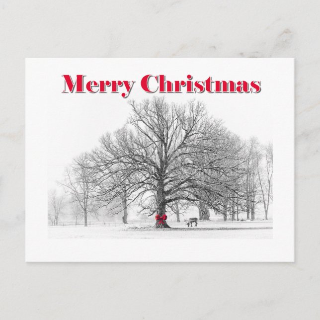 Winterszene Weihnachtskarte (Postkarte) Feiertagspostkarte (Vorderseite)