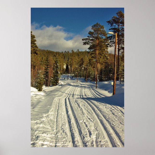 Wintertag in Schweden Poster (Vorne)