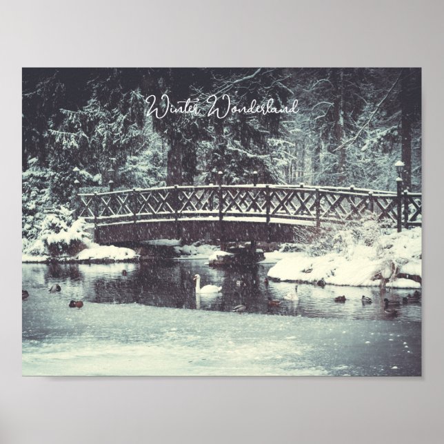 Winterteich Poster (Vorne)