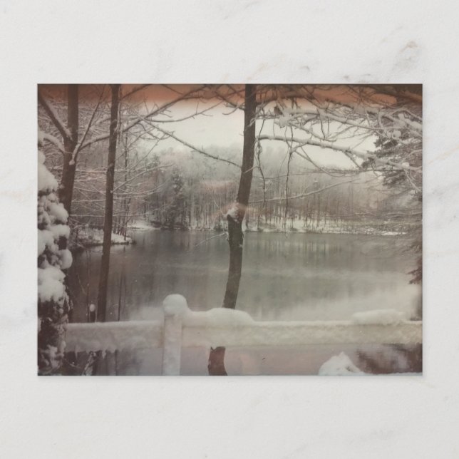Winterteich Postkarte (Vorderseite)